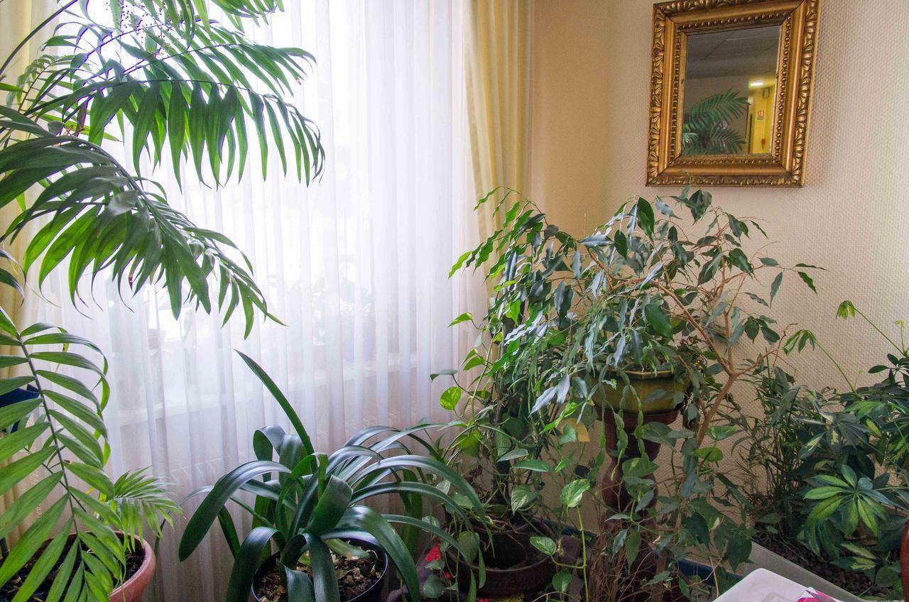 Hotel De Bale Bantzenheim Dış mekan fotoğraf