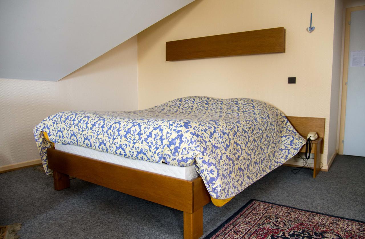 Hotel De Bale Bantzenheim Dış mekan fotoğraf